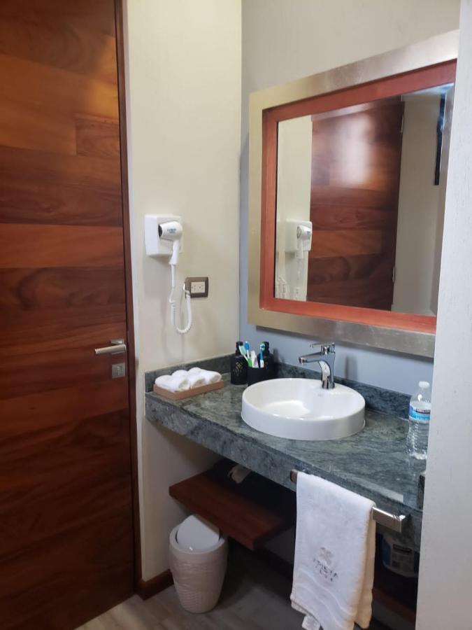 Hotel Arista 1026 サン・ルイス・ポトシ エクステリア 写真